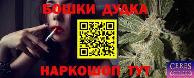 гашик Краснознаменск