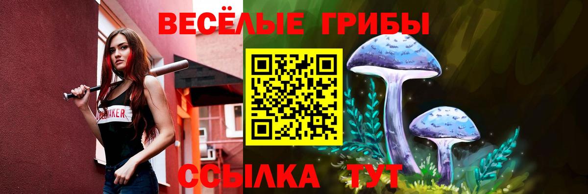 Псилоцибиновые грибы Cubensis  Вход с VPN  Еманжелинск 